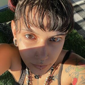 sugarisspicy's nudes and profile